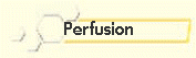 Perfusion